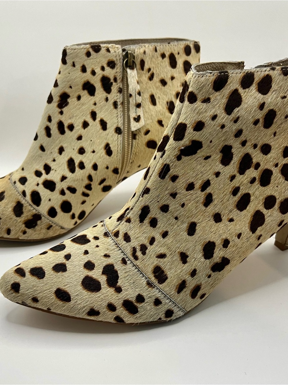 Chinese Laundry Dalmatian Print Ankle Booties - Cream & Black